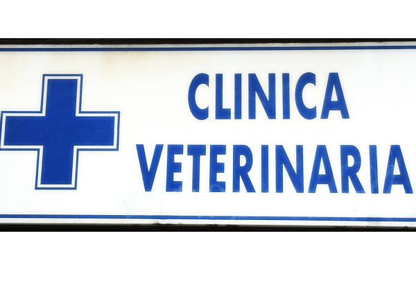 Clínica Veterinaria Cruz Azul (Astillero)