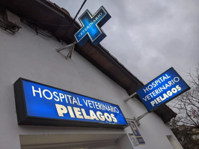 Clínica Veterinaria Piélagos (Quijano)