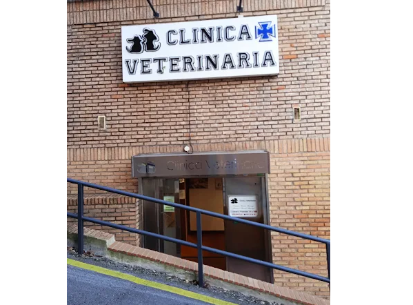 Elvira Veterinarios (Santander)