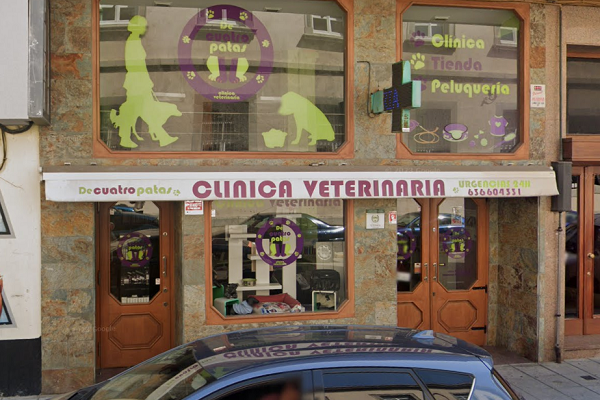Clínica Veterinaria De Cuatro Patas (Santoña)