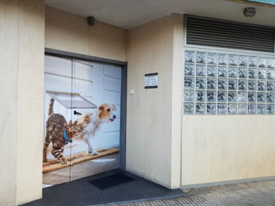 Clínica Veterinaria Sardinero (Santander)