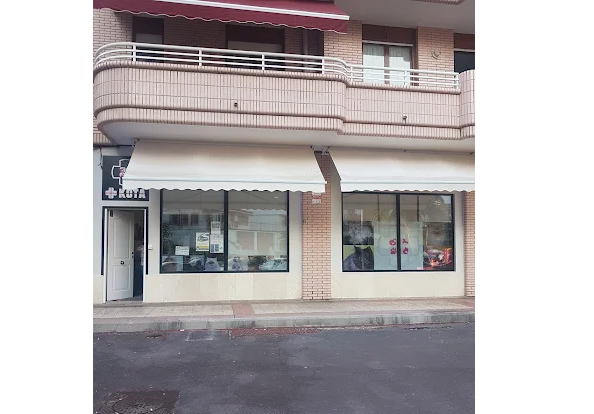 Clínica Veterinaria +Kota (Castro Urdiales)