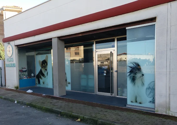 Clínica Veterinaria Ursaria (Santander)