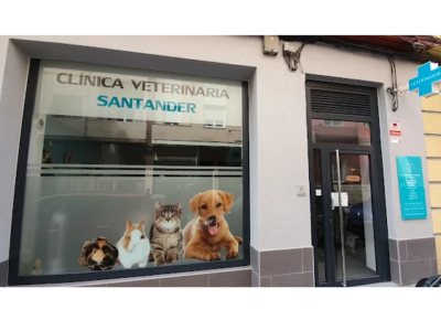Clínica Veterinaria Santander (Santander)