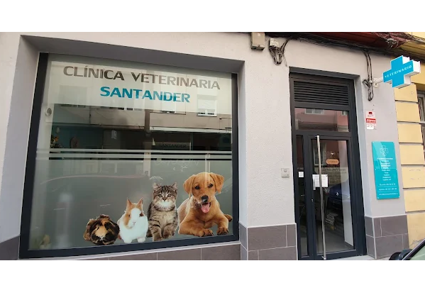 Clínica Veterinaria Santander (Santander)