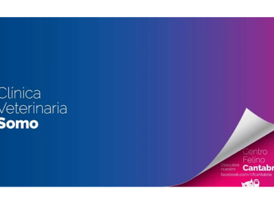 Clínica Veterinaria Somo (Somo)