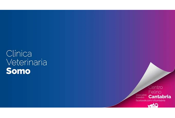 Clínica Veterinaria Somo (Somo)