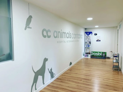 Animals Cantabria (Santander)