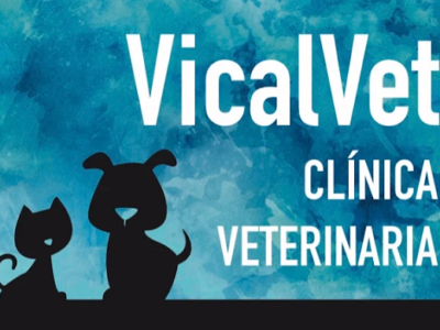 Vicalvet Clínica Veterinaria (Sarón)