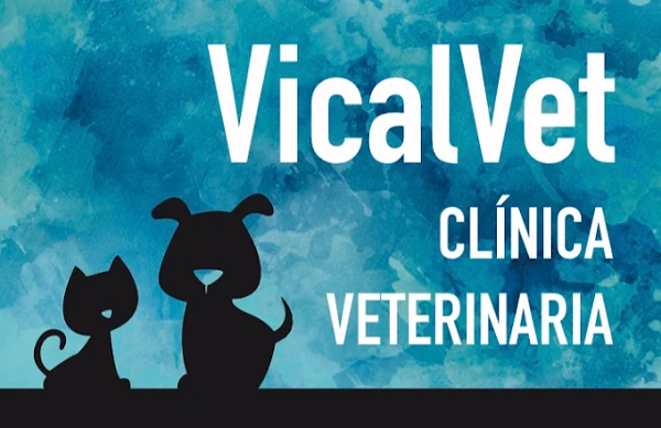 Vicalvet Clínica Veterinaria (Sarón)
