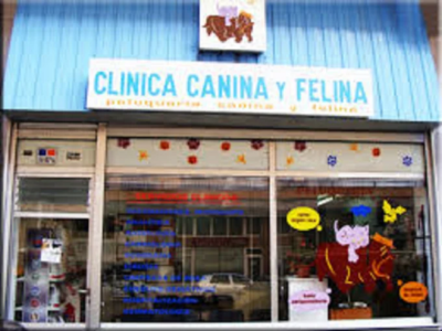 Clínica Veterinaria Canina y Felina (Torrelavega)