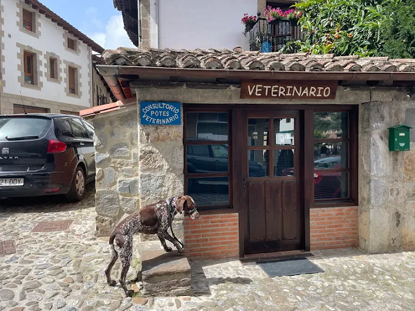 Consultorio Veterinario Potes (Potes)