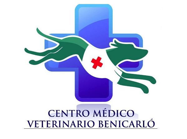Centro Veterinario Benicarló (Benicarló)