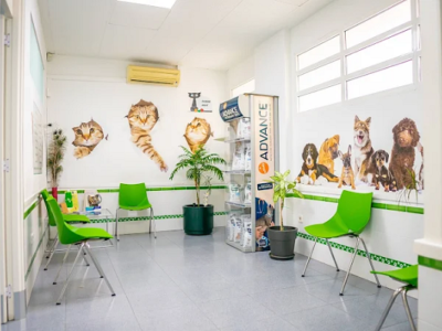 Clínica Veterinaria Sant Antoni (Benicarló)