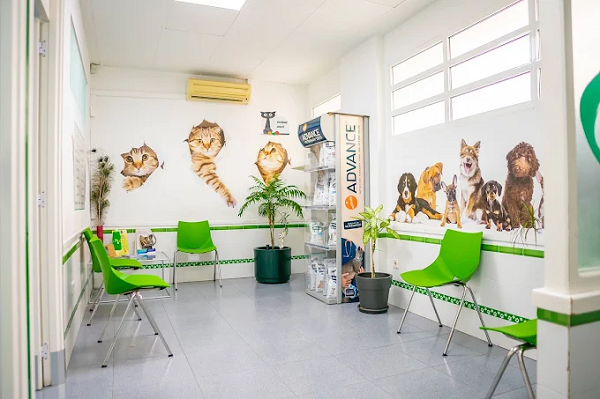 Clínica Veterinaria Sant Antoni (Benicarló)