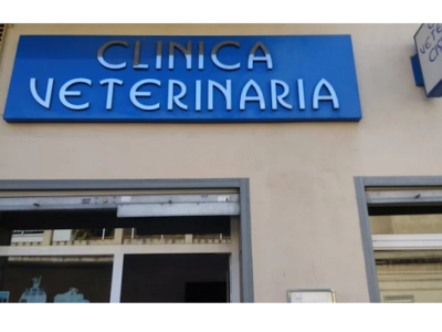 Clínica Veterinària Cisneros (Borriana)