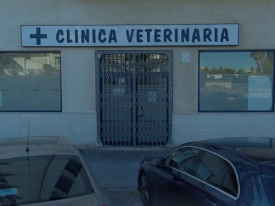 Clínica del Puerto (Borriana)