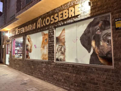 Clínica Veterinaria Alcossebre (Alcossebre)
