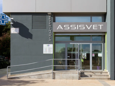 ASSISVET | Clínica Veterinaria (Castelló de la Plana)