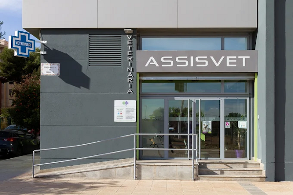ASSISVET | Clínica Veterinaria (Castelló de la Plana)
