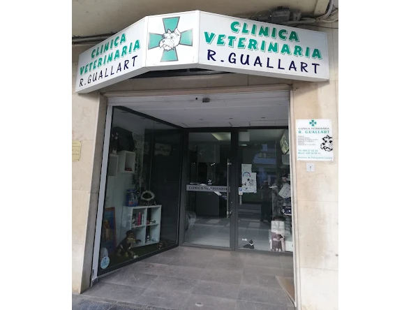 Clínica Veterinaria Raquel Guallart (Castelló de la Plana)