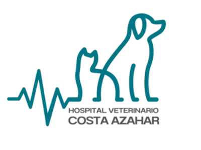 Hospital Veterinario Costa Azahar (Castelló de la Plana)