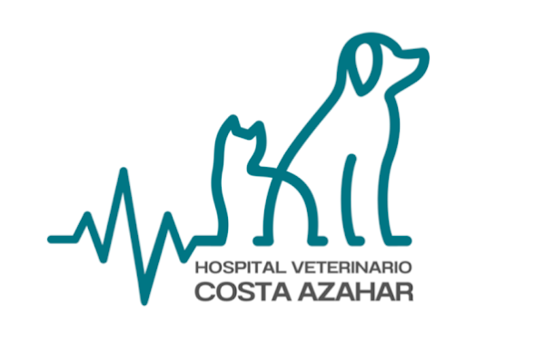 Hospital Veterinario Costa Azahar (Castelló de la Plana)