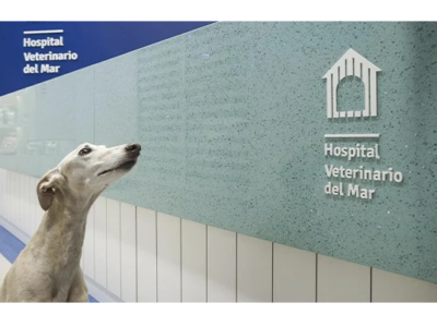 Hospital Veterinario Castellón del Mar (Castelló de la Plana)