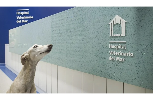 Hospital Veterinario Castellón del Mar (Castelló de la Plana)