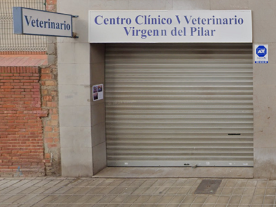 Virgen del Pilar (Castelló de la Plana)