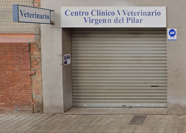 Virgen del Pilar (Castelló de la Plana)