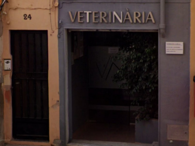 Veterinaria Albella (L'Alcora)
