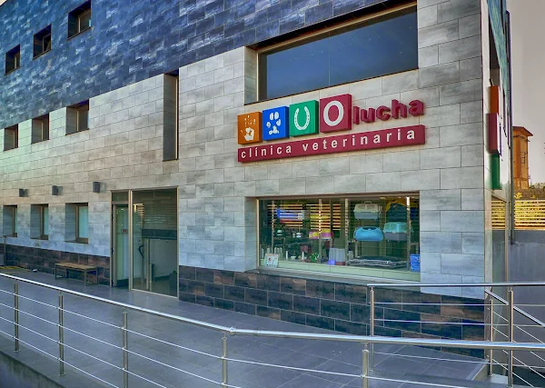 Clínica Veterinaria Olucha (Onda)