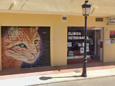 Clínica Veterinaria Oropesa (Orpesa)