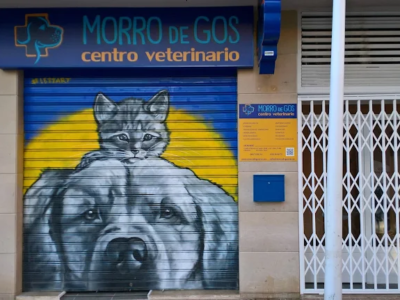 Morro De Gos Centro Veterinario (Orpesa)
