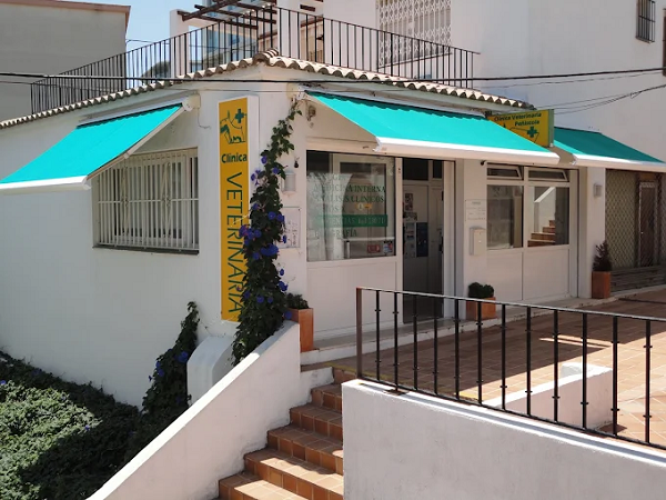 Clínica Veterinaria Peñíscola (Peníscola)