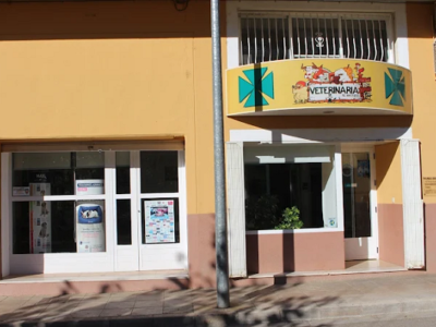 Veterinaria Segorbe - Mª Jesús Gamón Ovejero (Segorbe)