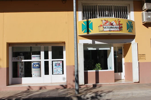 Veterinaria Segorbe - Mª Jesús Gamón Ovejero (Segorbe)