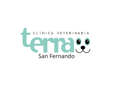 Clínica veterinaria Terra Villarreal (Vila-real / Villarreal)