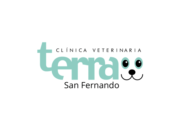 Clínica veterinaria Terra Villarreal (Vila-real / Villarreal)