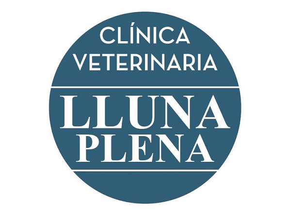 Clínica Lluna Plena (Vila-real / Villarreal)