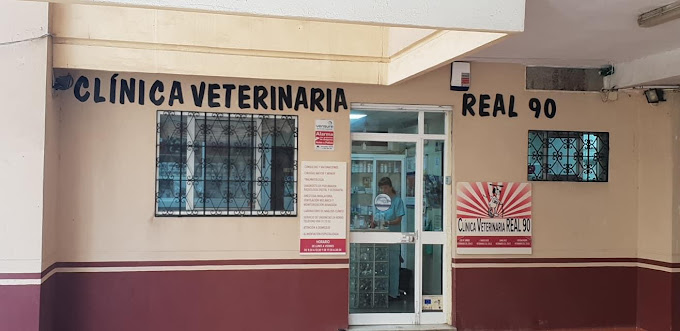 Clínica Veterinaria Real 90 (Ceuta)