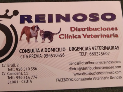 Clínica Veterinaria Reinoso - Brull (Ceuta)