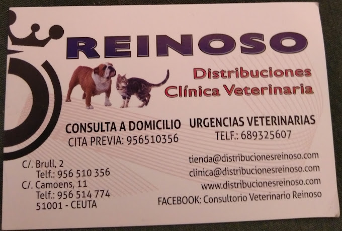 Clínica Veterinaria Reinoso - Brull (Ceuta)