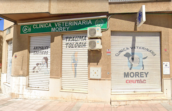 Clínica veterinaria Morey (Ceuta)