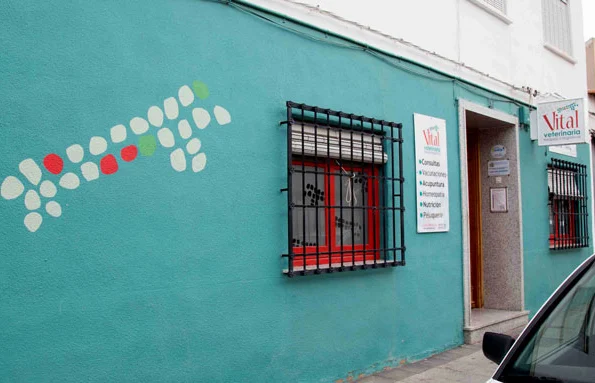 Vitalveterinaria (Alcázar de San Juan)