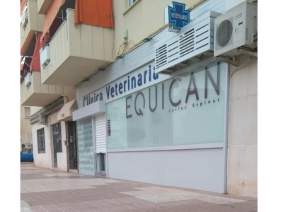 Equican (Ciudad Real)