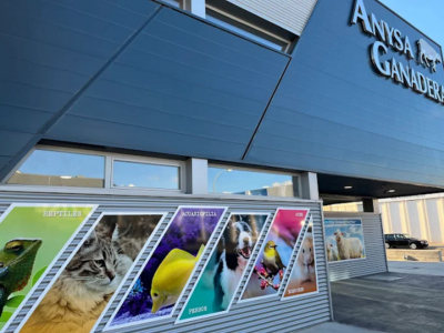 Anysa Ganadera-Nutrizoo (Ciudad Real)