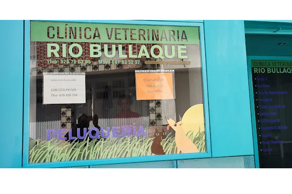 Clínica Veterinaria Río Bullaque (Piedrabuena)