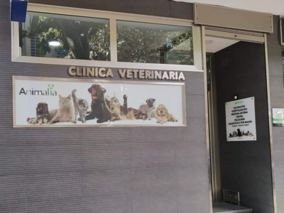 Clínica Veterinaria Animalia (Puertollano)